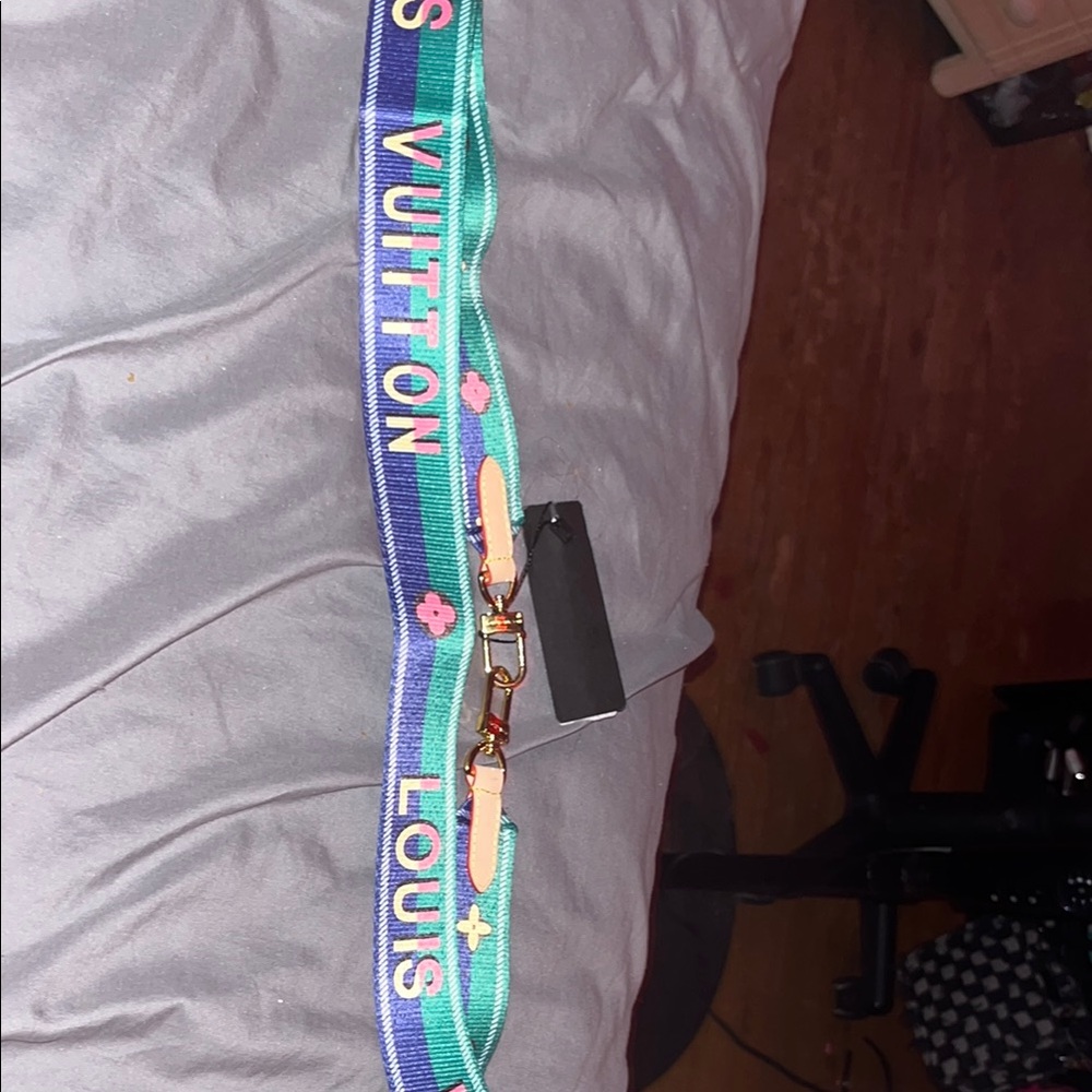 Louis Vuitton Multicolor Strap
